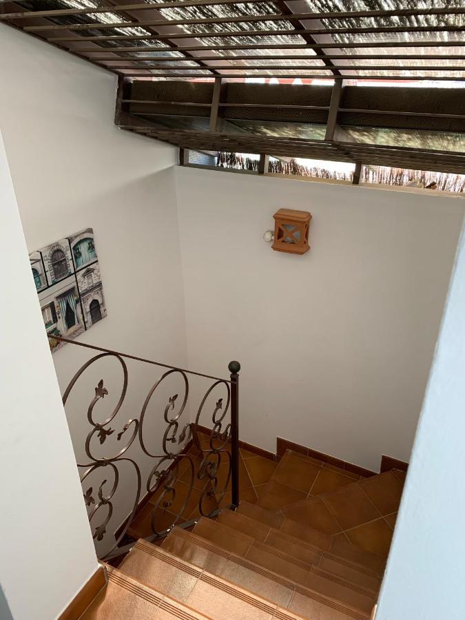 Novo & Restaurante Casa de hóspedes *